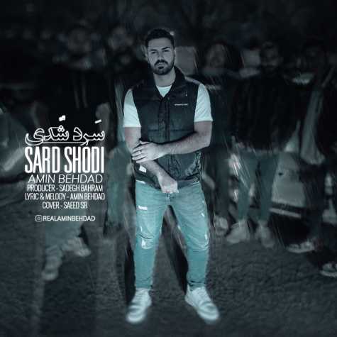 آهنگ امین بهداد سرد شدی