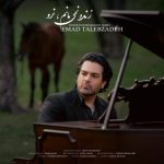 آهنگ عماد طالب زاده زنده نمی مانم نرو