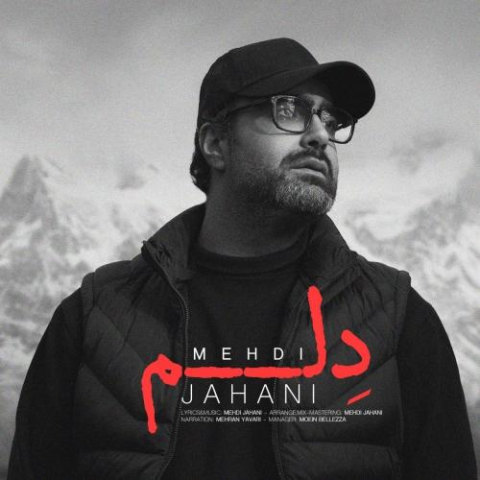 آهنگ مهدی جهانی دلم