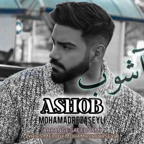 آهنگ محمدرضا سیلی آشوب