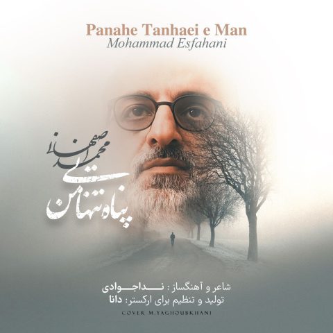 آهنگ محمد اصفهانی پناه تنهایی من