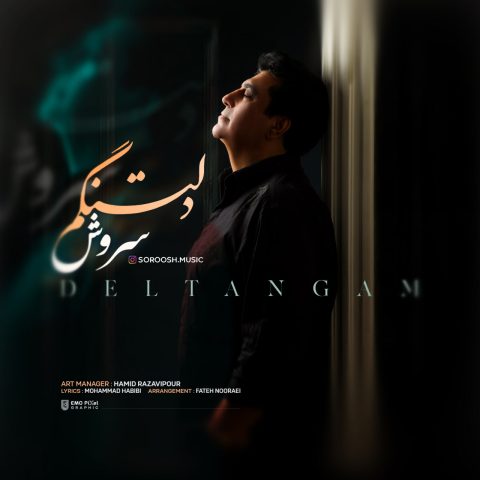 آهنگ سروش دلتنگم
