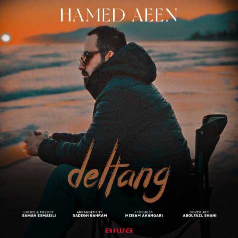 آهنگ حامد آئین دلتنگ