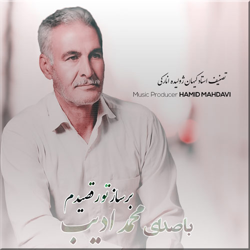 آهنگ محمد ادیب بر ساز تو رقصیدم